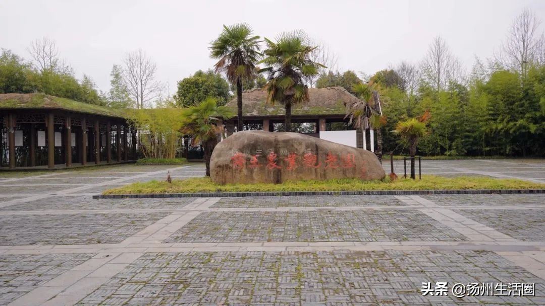 扬州盆栽花卉批发市场,扬州花木城花卉批发市场