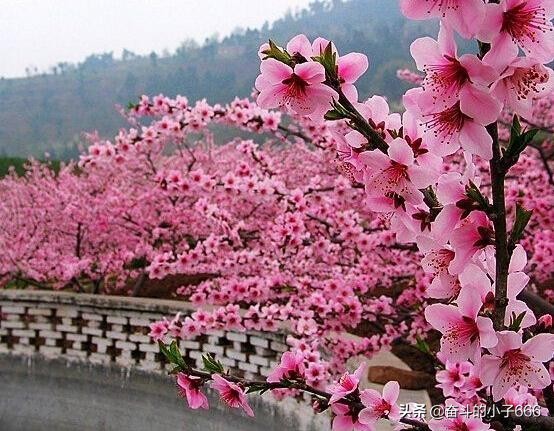 枣阳市新市镇旅游景点,枣阳旅游景点排名前十名