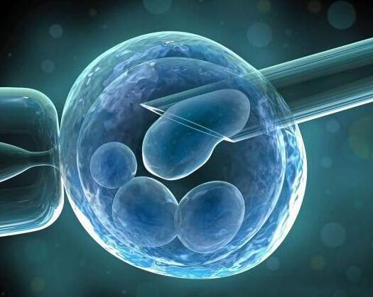 做试管婴儿复杂吗,去做试管婴儿女的该怎样做