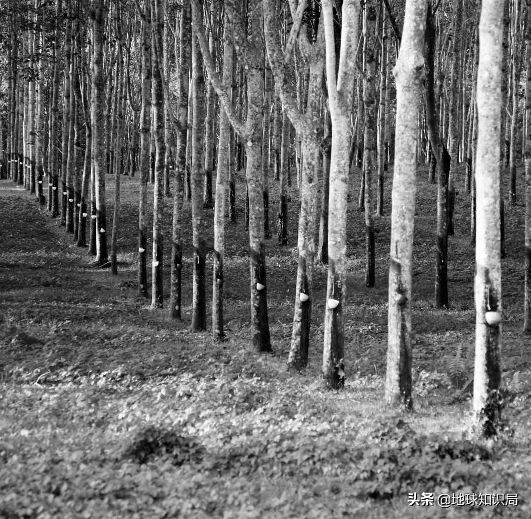 印尼在亚洲的实力排名,印尼有几亿人