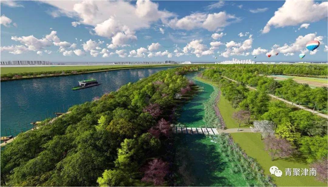 是什么让越来越多的年轻人爱上津南,留在津南!