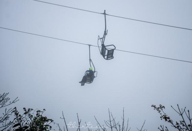 天门山森林公园和张家界森林公园,张家界天门山一日游最佳路线