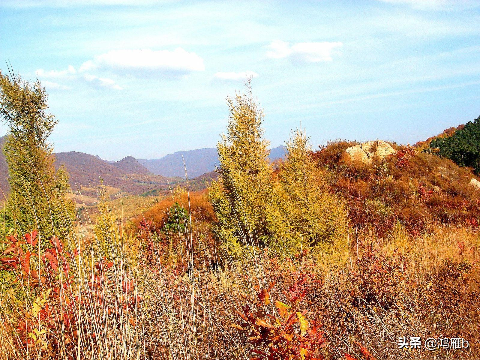 回忆七十年代的碱厂一0五医院，记得我当年两元钱做的手术