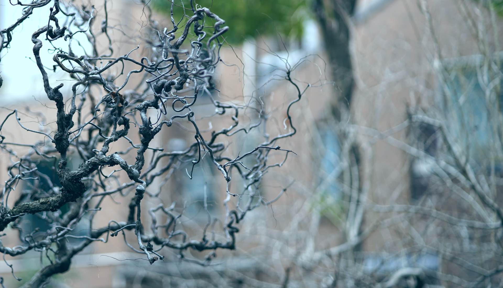 新手小白必备的相机配件,新手推荐买的相机配件