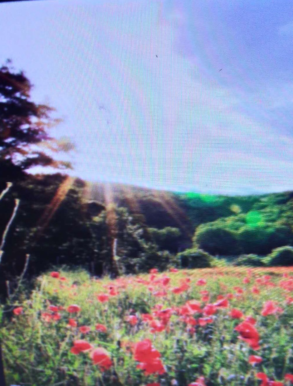 兵临城下24,兵临城下23