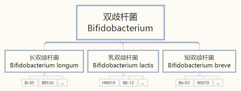 网上那么多「益生菌」，究竟哪种是适合我的，营养师手把手教你选