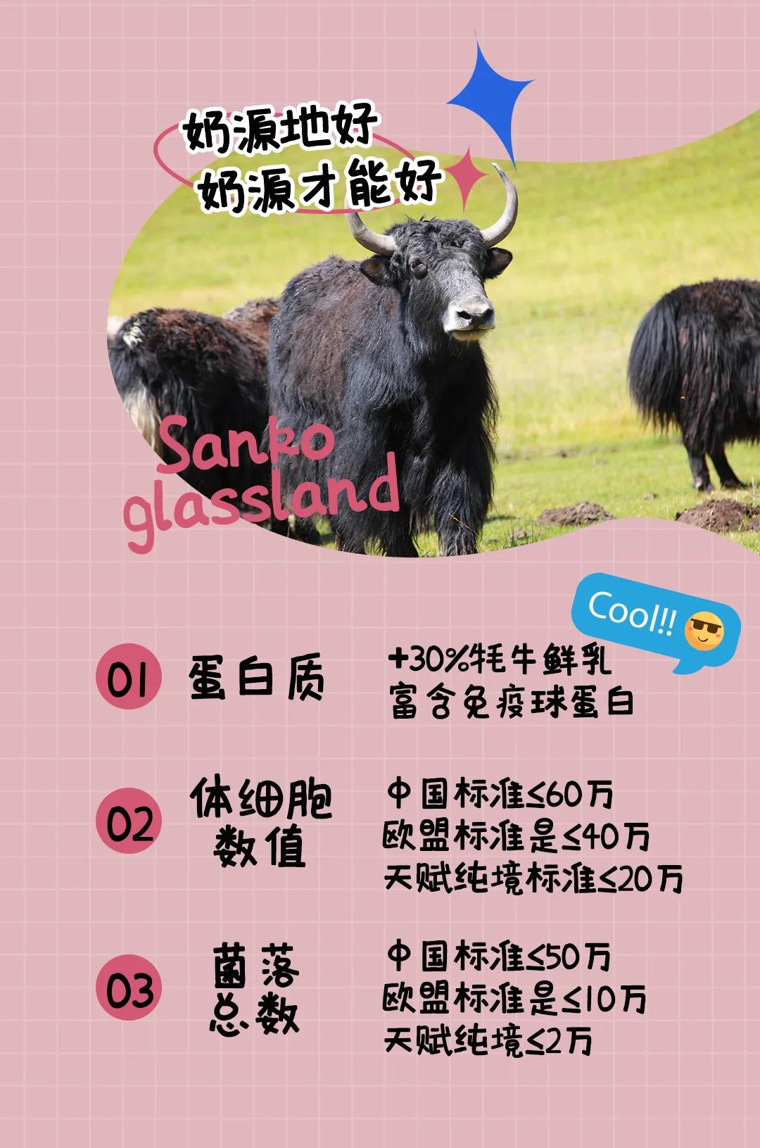 高原之宝牦牛鲜奶1l,高原新鲜牦牛奶需要加水吗