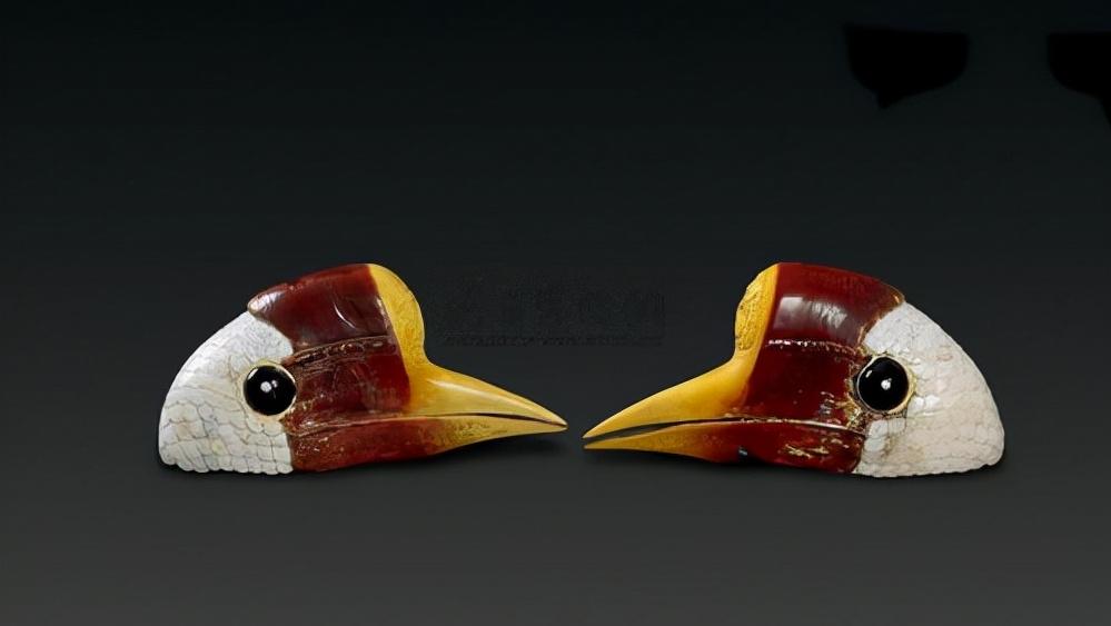 头骨最值钱鸟,头骨很珍贵的鸟