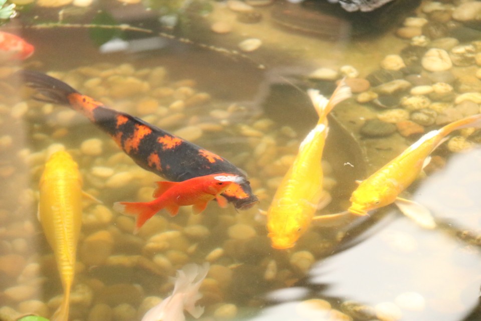 沐春简历,沐春大学