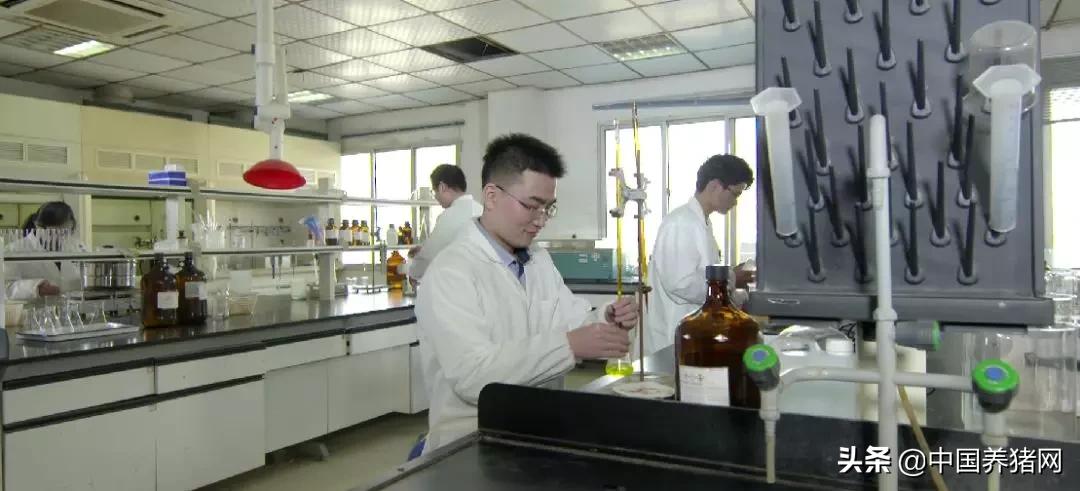 双胞胎饲料厂工艺流程,双胞胎饲料质量问题