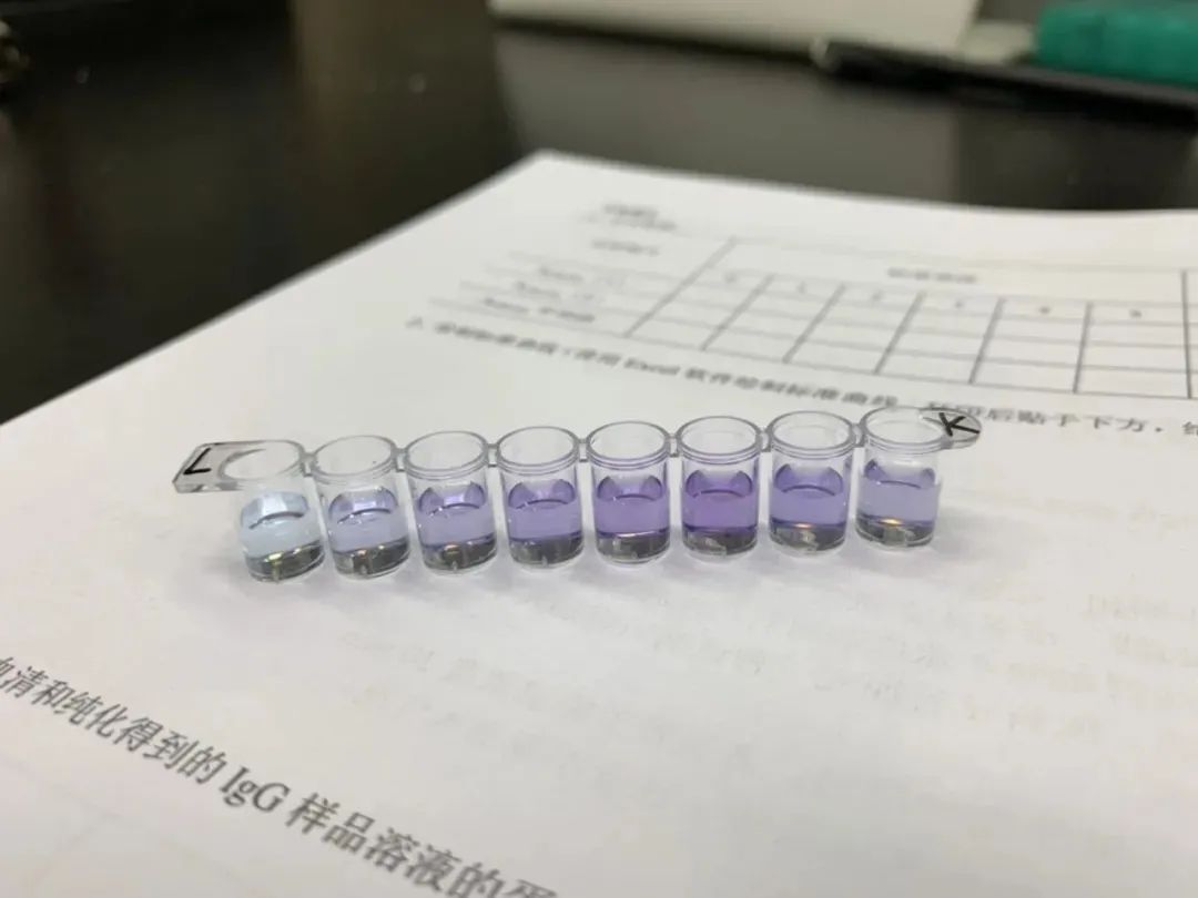 绵中保送北大,绵中高中清北