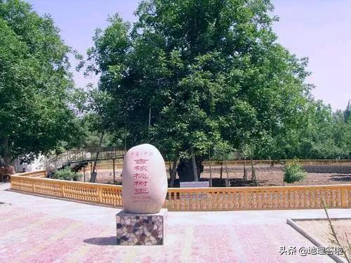 南疆映像,南疆印象系列简介