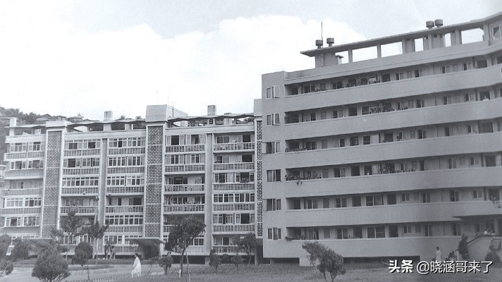 韩国大楼倒塌事件三丰百货幸存者,韩国三丰百货倒塌事故原因和看法