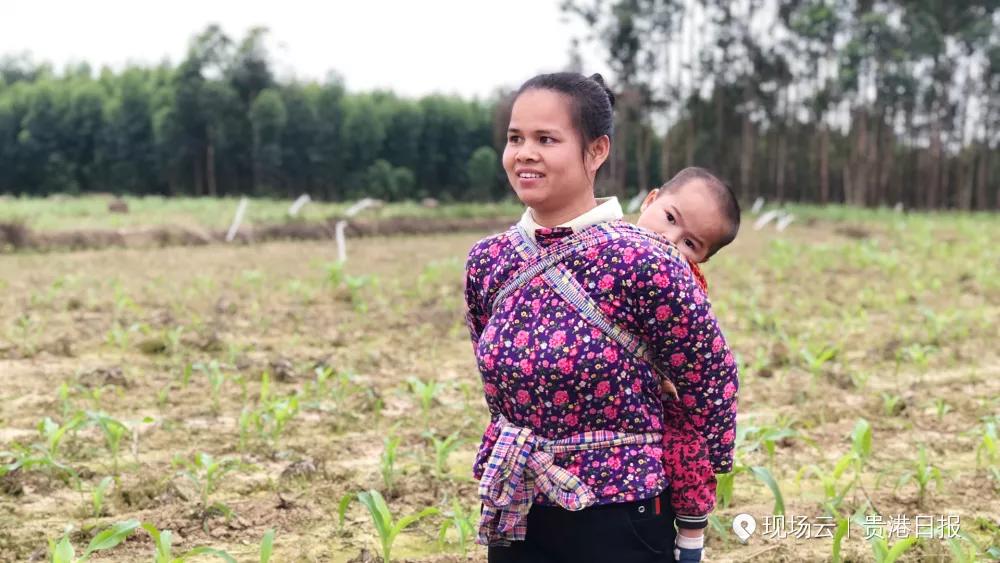根竹镇新民村委名单,贵港市港北区根竹镇新民村