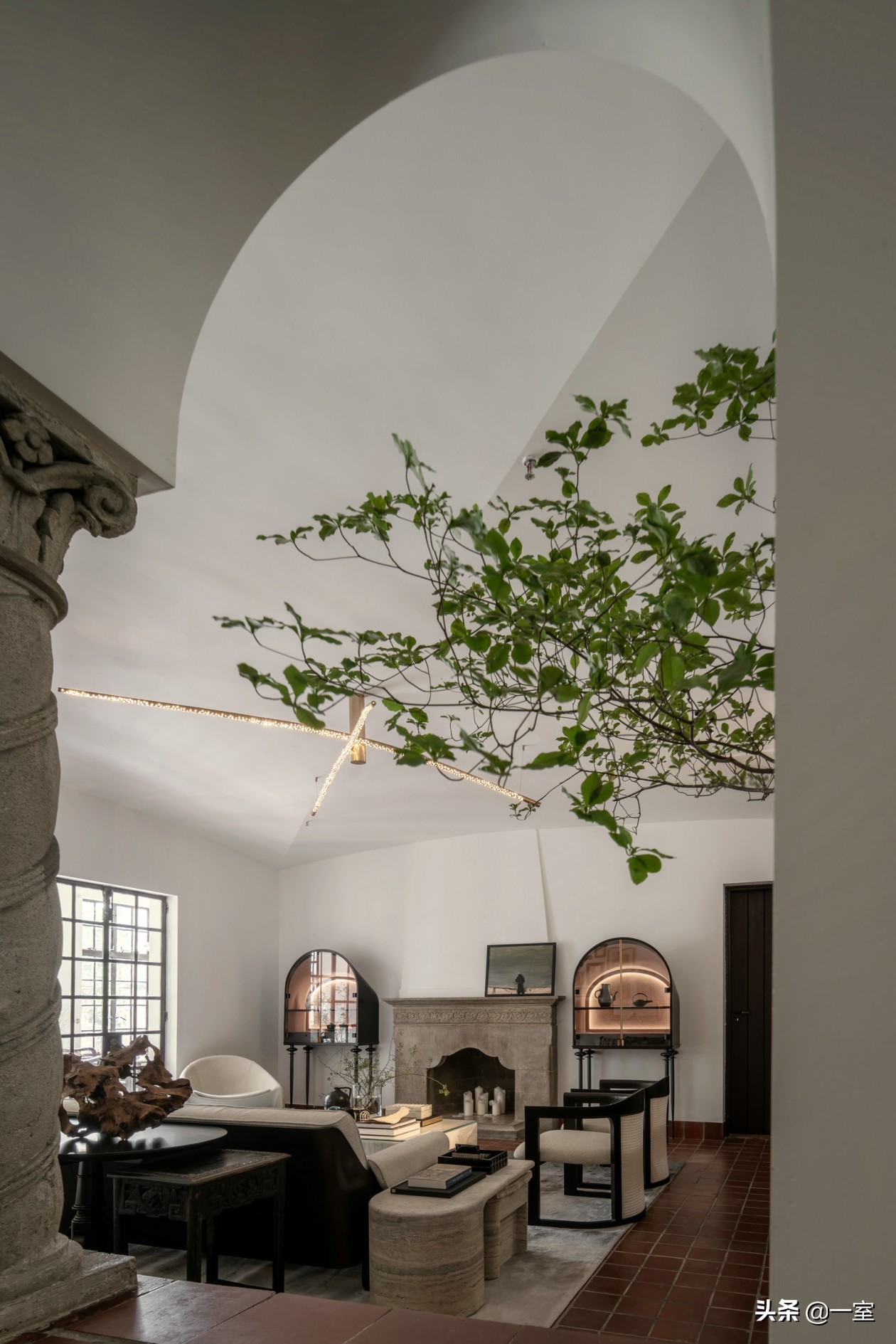 网红庭院植物搭配,网红绿植搭配技巧