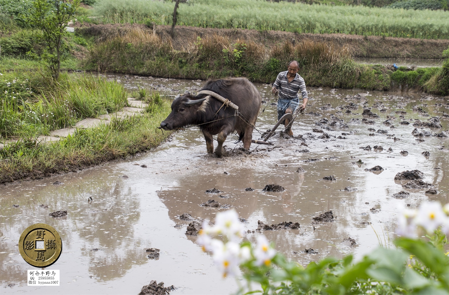 广安撤县名单查询,70年广安县有多少个人民公社