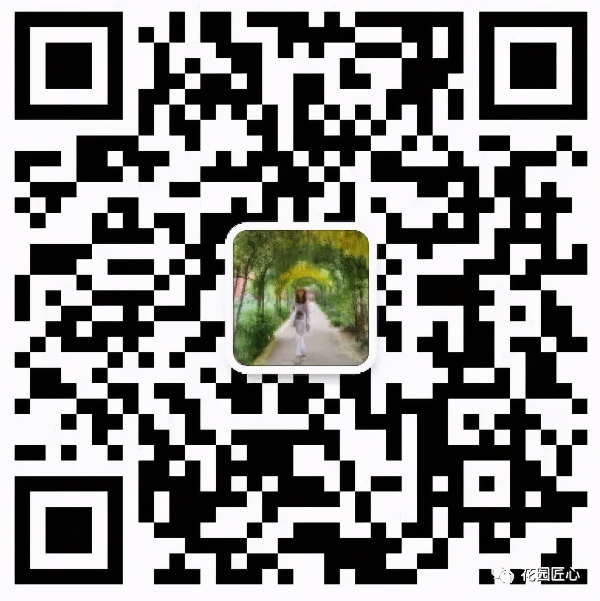 夏季花草脱水怎么治,植物脱水的补救方法