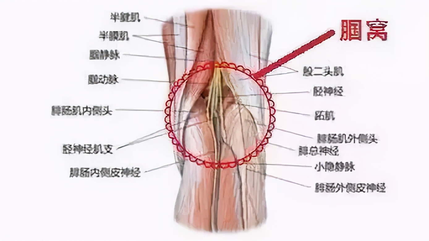 造成膝盖后侧疼痛的2个重要原因，和6组简单的康复训练