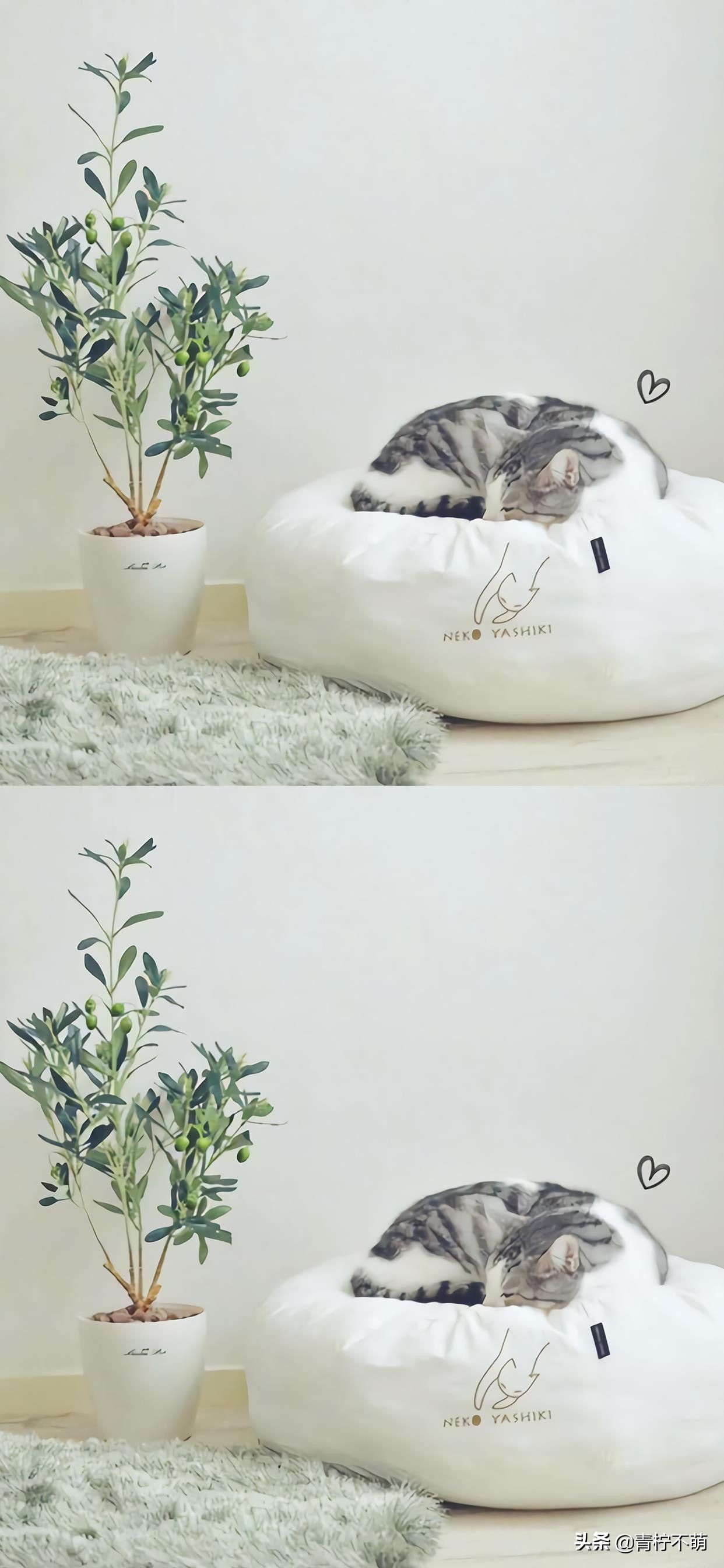 苹果13原装高清壁纸4k全屏无水印,4k超清壁纸1080p无水印全屏苹果