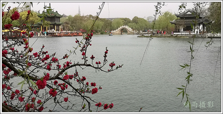 扬州夏日的瘦西湖风景,三月的扬州瘦西湖