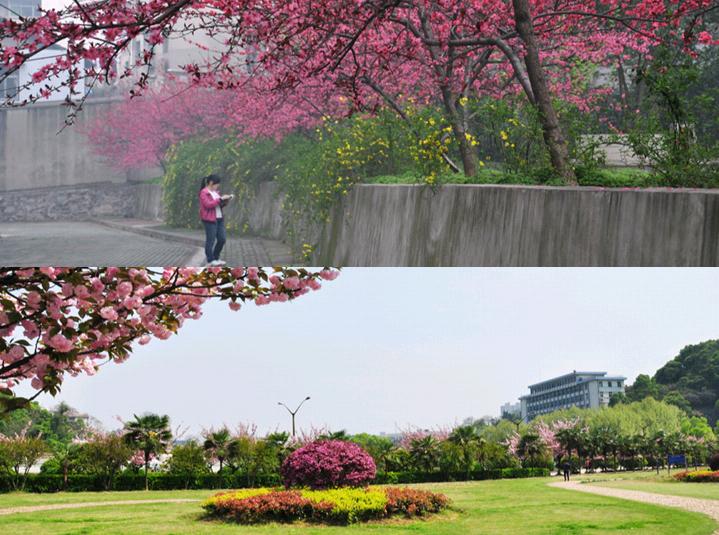 湖北最江湖大学:坐落长江之滨，校内7座山体，金庸大侠都在这里