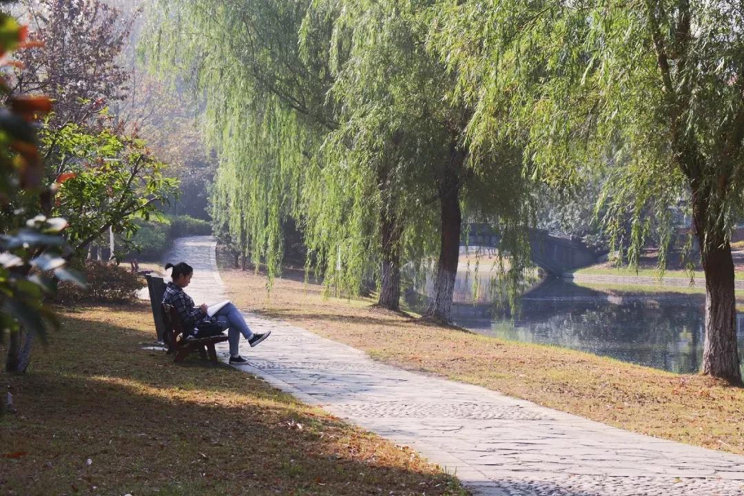 安徽13所一本大学名单,安徽省高校简介