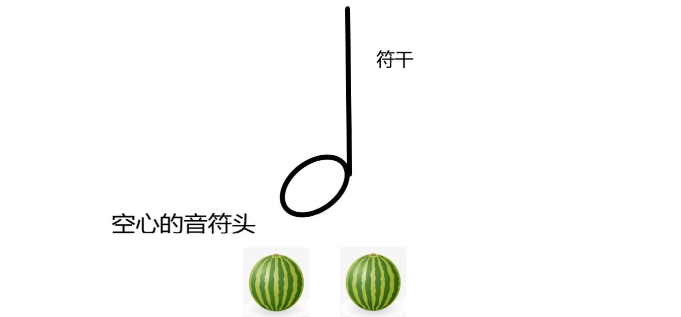 初学五线谱基础入门第一课谱子,乐理认识五线谱和音符教学