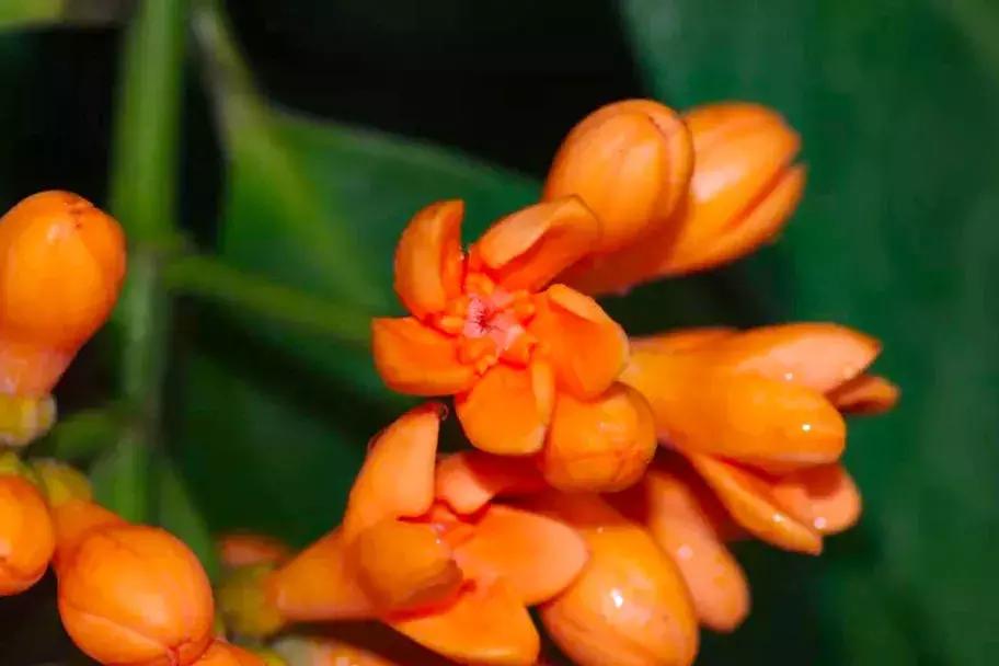 他的工作是厨师的英文,他的工作是什么英文句子