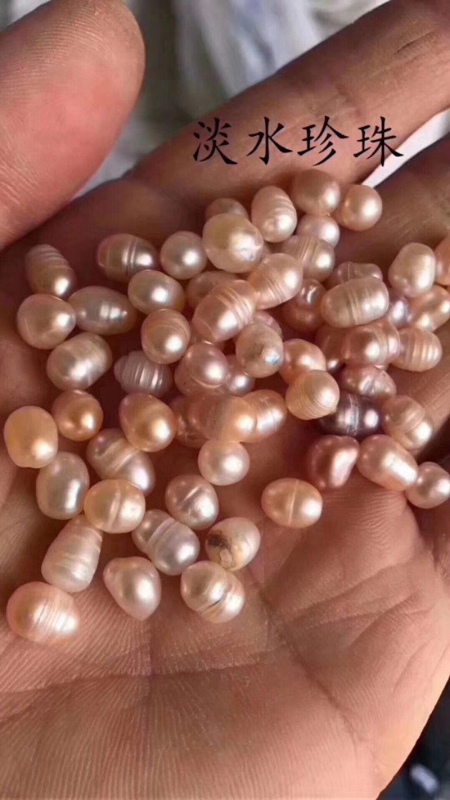 董欣珍珠膏和珍珠乳哪个好用,董欣珍珠膏价格表