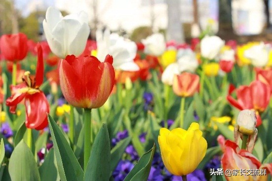 江南大学----一所可能“不适宜”学习的高校