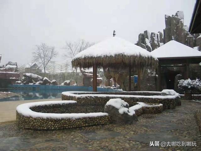 庐江金孔雀温泉门票,合肥庐江金孔雀温泉攻略