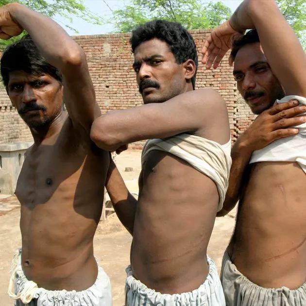 卖肾工厂，在这里|地球知识局