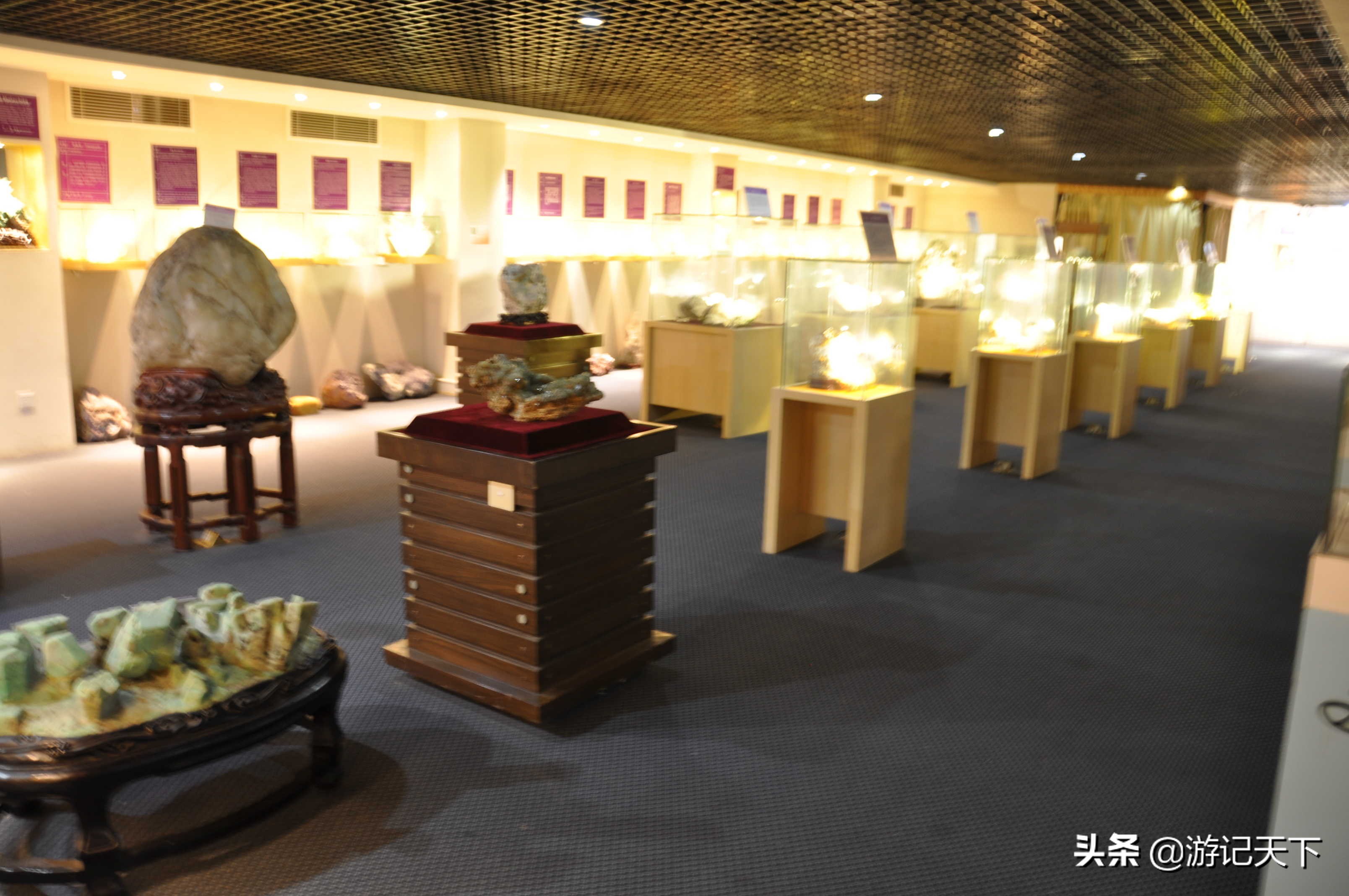 阿尼亚参观博物馆,上海地质科普馆游玩