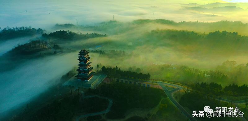 简阳获奖名单,获奖名单定格