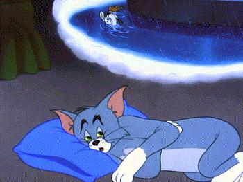 二十年后的汤姆猫,许多年后汤姆猫