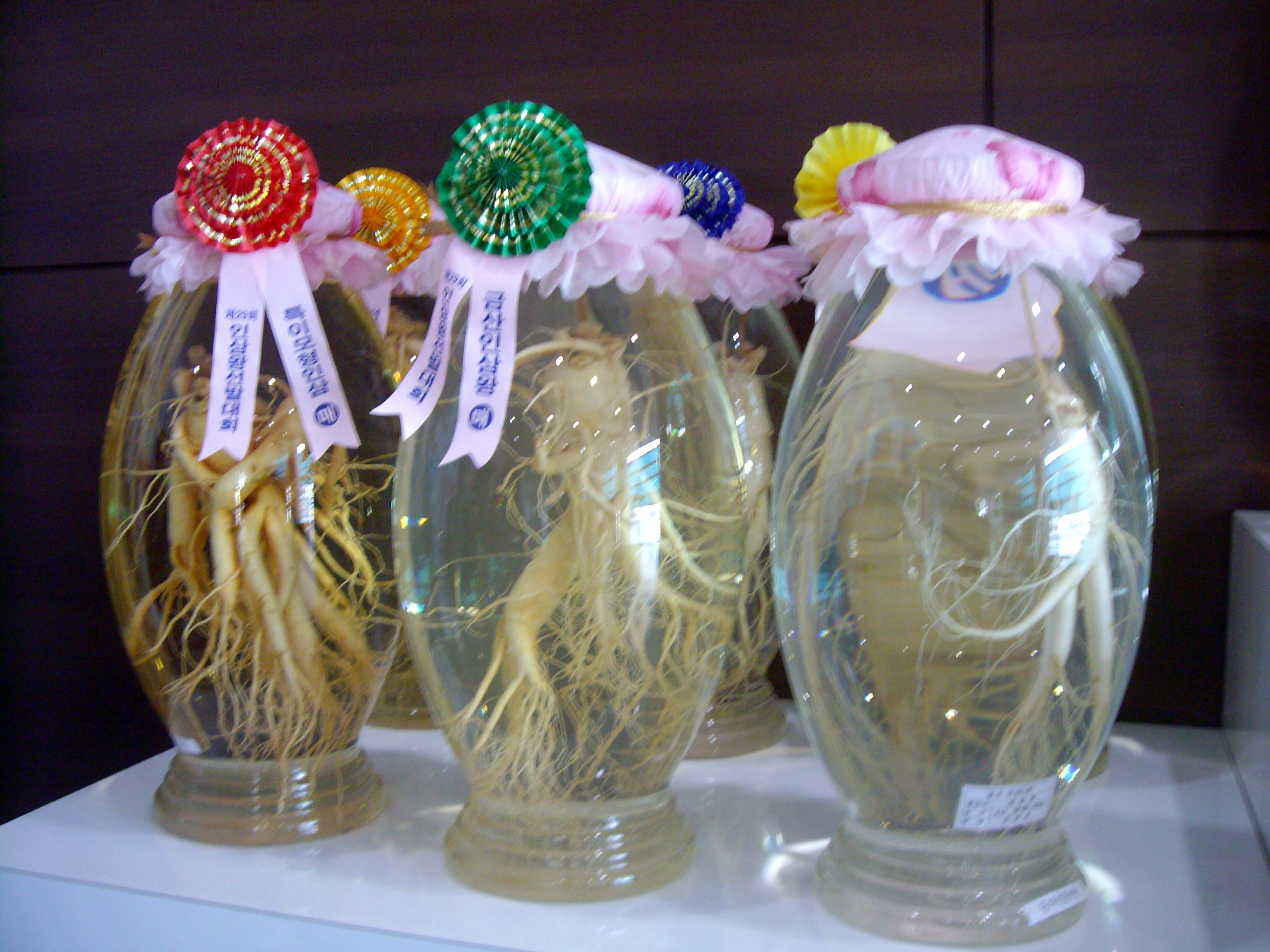 舒服晒游记丨VOL.5韩国:人参如何生成