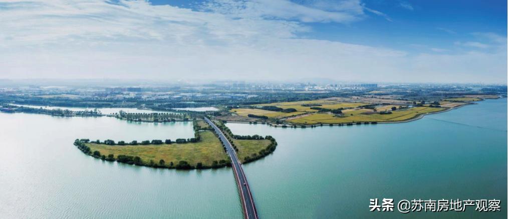 为什么我们都爱艺术,为什么我们都爱孩子却不爱父母