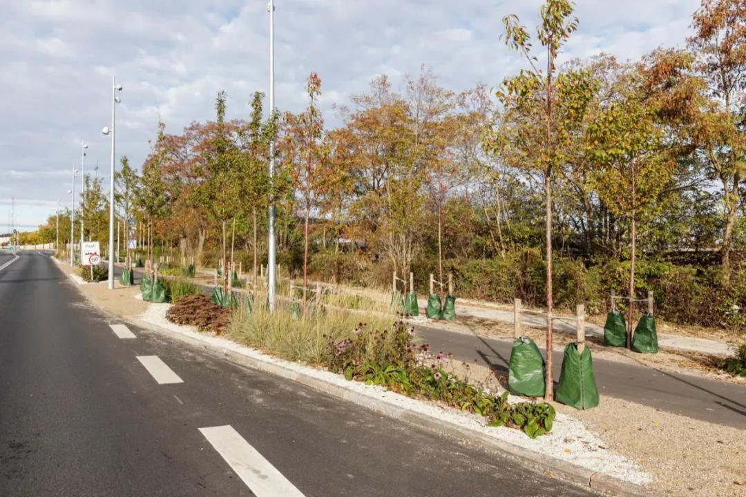 道路设计效果图,个性路面设计