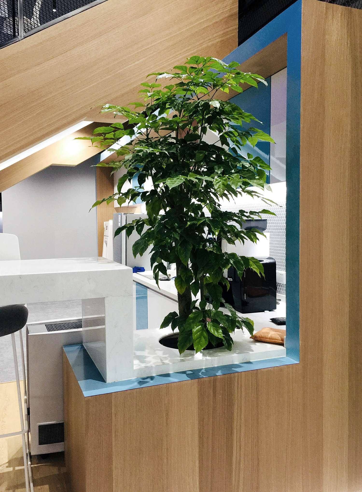 哔哩哔哩十周年小米主题,十周年庆典哔哩哔哩