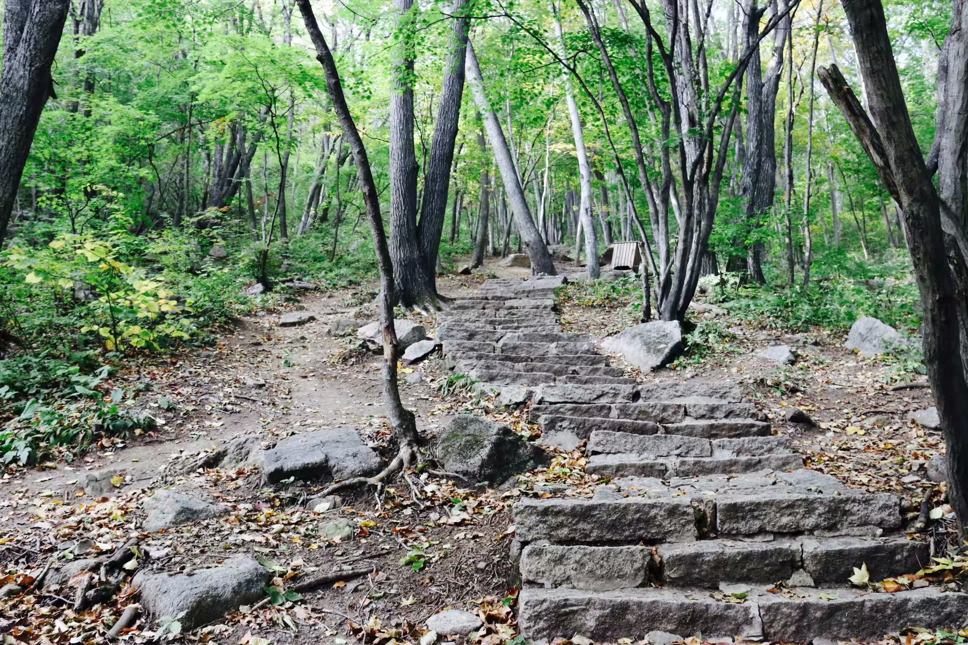 杀猪盘理财案例分析,杀猪盘不骗你理财了还能骗什么