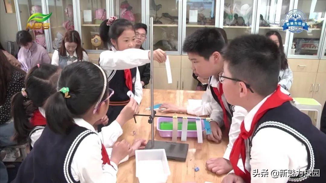 2022年小学教育发展论坛,教育发展论坛专家研讨