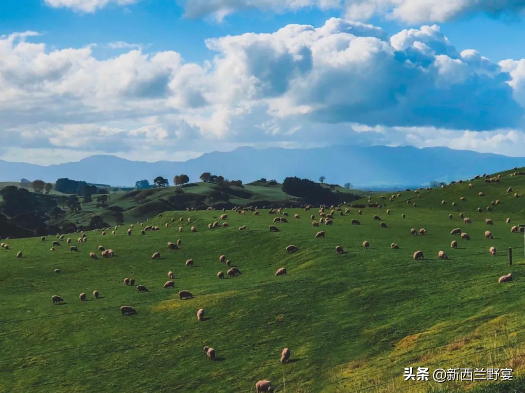 新西兰南半球最高多少米,新西兰的自由与浪漫