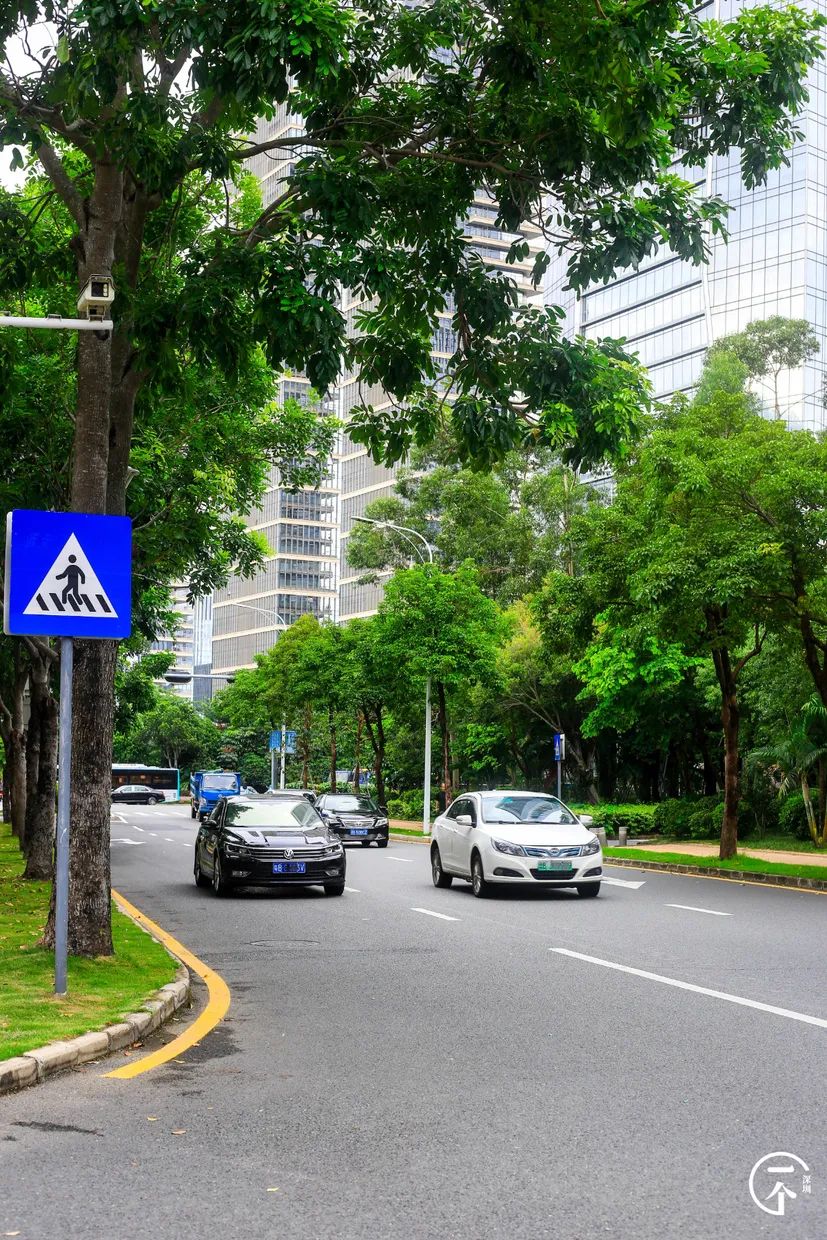 测评深圳湾,我直接被房租劝退