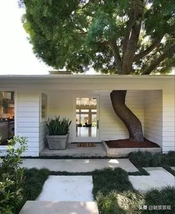 景观设计遇到高墙,景观设计在建筑中的设计