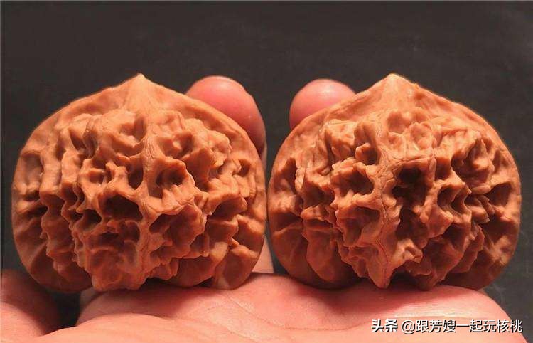 文玩核桃大刺和大花是一个品种吗,最好的文玩核桃是什么品种