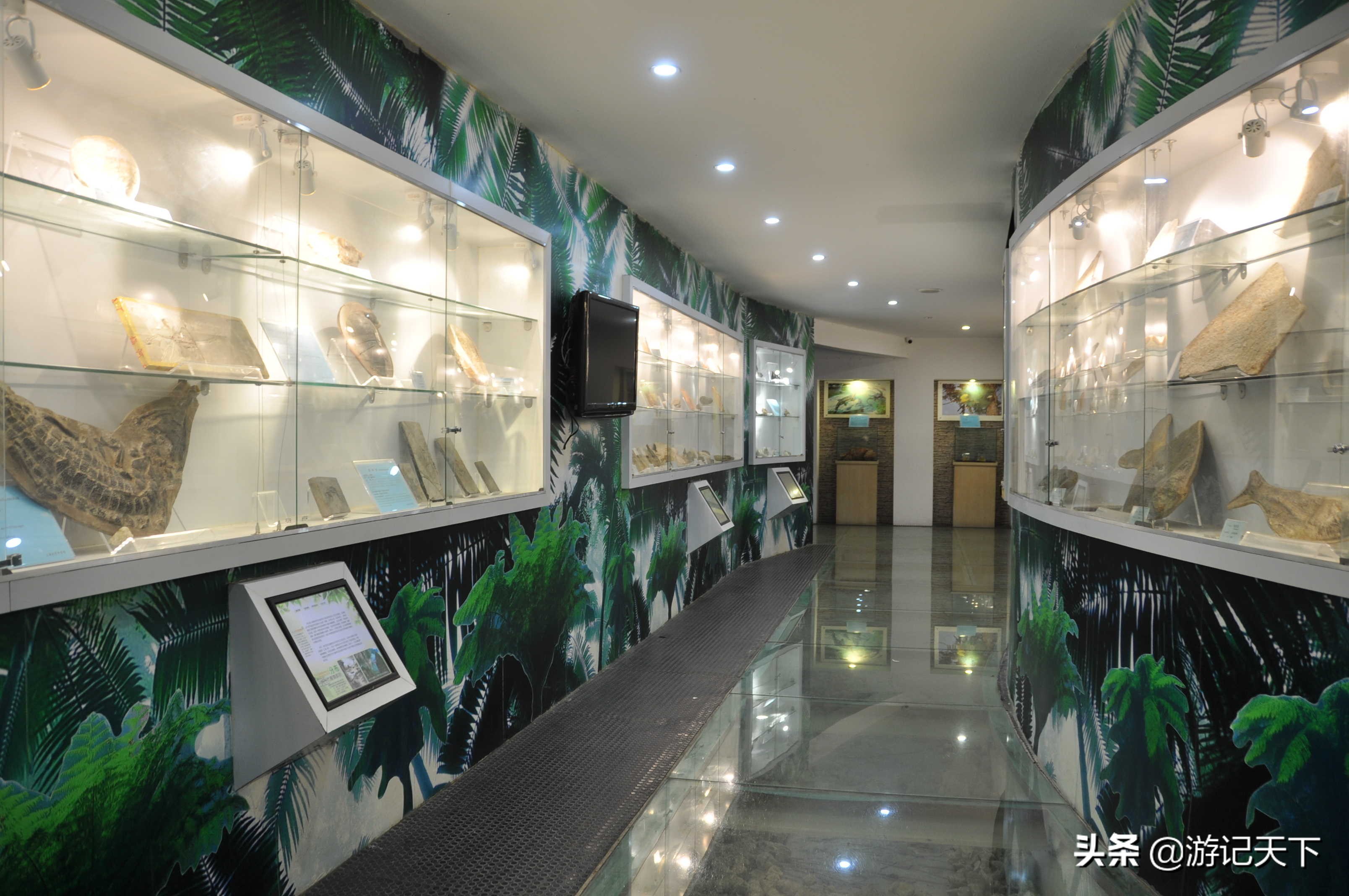 参观上海东方地质科普馆,上海东方地质科普馆需要预约吗