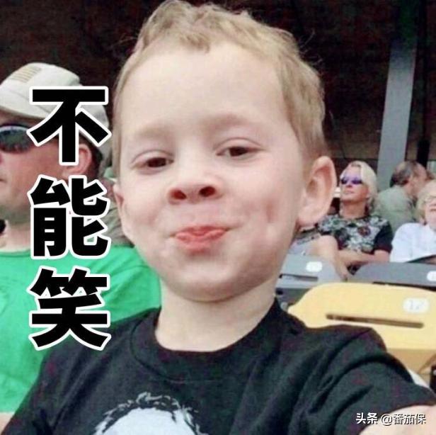 想了解香港保险推荐看什么书,香港保险资讯平台