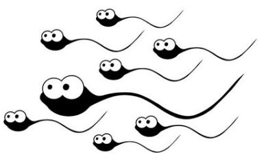 神不知鬼不觉的伤害健康系列——跷二郎腿