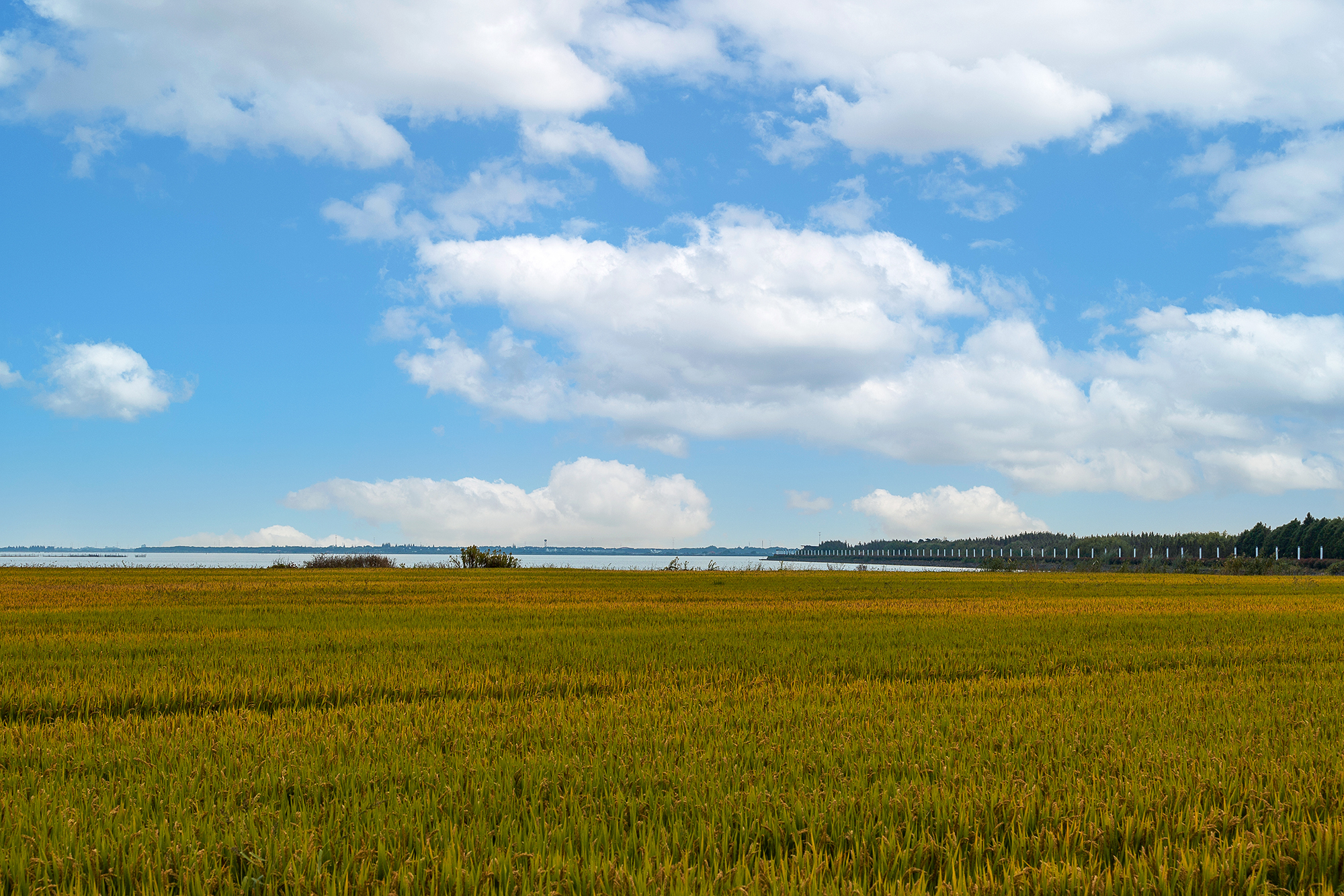 苏州澄湖国际慢城订票,苏州澄湖国际慢城团购