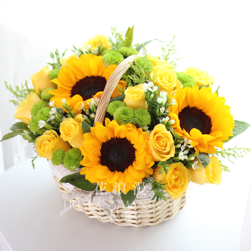 向日葵花花语经典超短句,向日葵花图片及花语